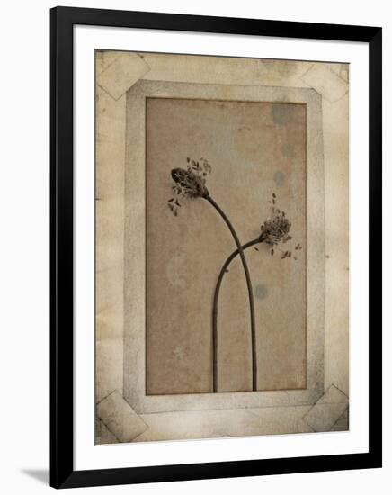 Divergence Copie-Nathalie Diacci-Framed Photographic Print