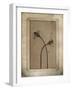 Divergence Copie-Nathalie Diacci-Framed Photographic Print