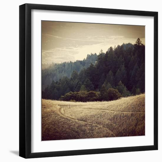 Diverging Paths 2-Lance Kuehne-Framed Photographic Print