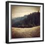 Diverging Paths 2-Lance Kuehne-Framed Photographic Print