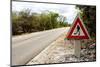 Divers Crossing-bah69-Mounted Photographic Print