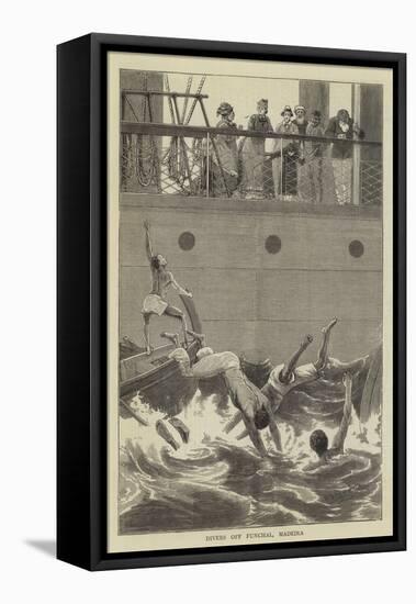 Divers Off Funchal, Madeira-null-Framed Stretched Canvas