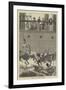 Divers Off Funchal, Madeira-null-Framed Giclee Print