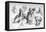 Diverse Figures, C1720-1770-François Boucher-Framed Stretched Canvas