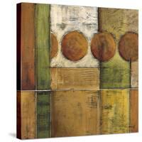 Diversity II-Mike Klung-Stretched Canvas