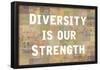 Diversity Is Our Strength-null-Framed Poster