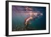 Dives in Beams-null-Framed Art Print