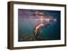 Dives in Beams-null-Framed Art Print