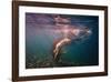 Dives in Beams-null-Framed Art Print