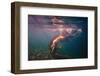 Dives in Beams-Dmitry Laudin-Framed Photographic Print