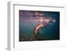 Dives in Beams-Dmitry Laudin-Framed Photographic Print