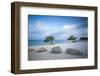 Divi Divi Trees on Eagle Beach, Aruba, Lesser Antilles, Netherlands Antilles, Caribbean-Jane Sweeney-Framed Photographic Print