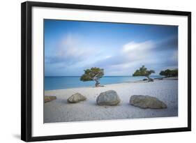 Divi Divi Trees on Eagle Beach, Aruba, Lesser Antilles, Netherlands Antilles, Caribbean-Jane Sweeney-Framed Photographic Print