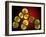 Dividing Staphylococcus Sp. Bacteria-Dr. Linda Stannard-Framed Photographic Print