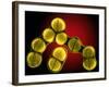 Dividing Staphylococcus Sp. Bacteria-Dr. Linda Stannard-Framed Photographic Print