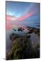 Divine Color at Sunset, San Pablo Bay, Bay Area-null-Mounted Photographic Print