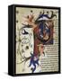 Divine Comedy, Poem by Dante Alighieri-null-Framed Stretched Canvas