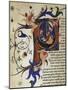 Divine Comedy, Poem by Dante Alighieri-null-Mounted Giclee Print