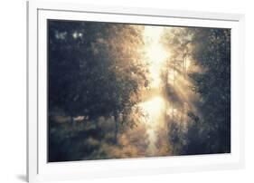 Divine Dawn-Andreas Stridsberg-Framed Giclee Print