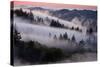 Divine Fog Landscape in a Dream Mount Tamalpais San Francisco-Vincent James-Stretched Canvas