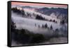 Divine Fog Landscape in a Dream Mount Tamalpais San Francisco-Vincent James-Framed Stretched Canvas