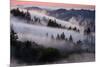 Divine Fog Landscape in a Dream Mount Tamalpais San Francisco-Vincent James-Mounted Photographic Print