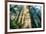 Divine Forest Light Coast Redwoods Del Norte California-Vincent James-Framed Photographic Print