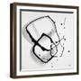 Divine II-Rikki Drotar-Framed Giclee Print