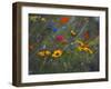 Divine Mystery painting-Helen White-Framed Giclee Print