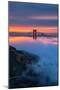 Divine Sunrise Light and Fog, Golden Gate Bridge, San Francisco-Vincent James-Mounted Photographic Print