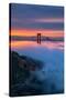 Divine Sunrise Light and Fog, Golden Gate Bridge, San Francisco-Vincent James-Stretched Canvas