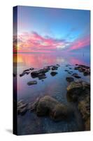 Divine Sunset Scene at San Pablo Bay-null-Stretched Canvas