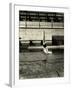 Diving at Princeton-Gjon Mili-Framed Photographic Print