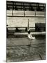 Diving at Princeton-Gjon Mili-Mounted Photographic Print