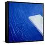 Diving Board, 2004-Lincoln Seligman-Framed Stretched Canvas
