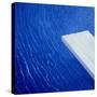 Diving Board, 2004-Lincoln Seligman-Stretched Canvas