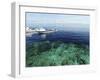 Diving Boat, Sipadan, Semporna Archipelago, Borneo, Malaysia-Anthony Asael-Framed Premium Photographic Print