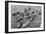 Diving Boys at Las Palmas, Gran Canaria, Canary Islands, Spain, 20th Century-null-Framed Giclee Print