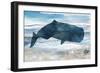 Diving Deep I-Carol Robinson-Framed Premium Giclee Print