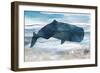 Diving Deep I-Carol Robinson-Framed Art Print