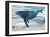 Diving Deep II-Carol Robinson-Framed Art Print