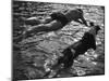 Diving Dude and Dog-null-Mounted Photographic Print