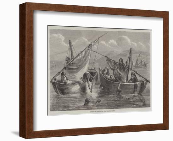 Diving for Sponges on the Coast of Syria-null-Framed Giclee Print