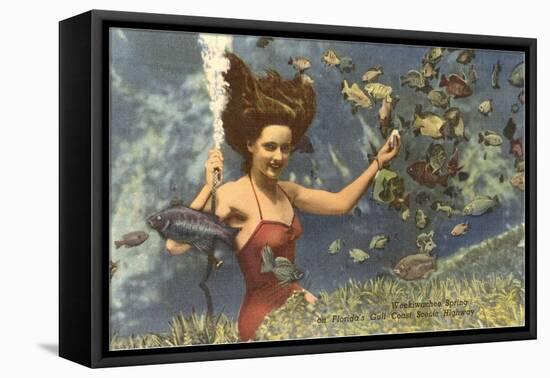 Diving Girl, Weekiwachee Spring, Florida-null-Framed Stretched Canvas