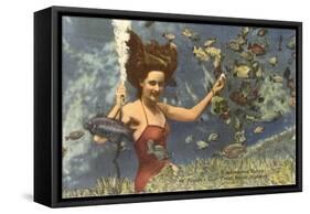 Diving Girl, Weekiwachee Spring, Florida-null-Framed Stretched Canvas