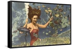 Diving Girl, Weekiwachee Spring, Florida-null-Framed Stretched Canvas