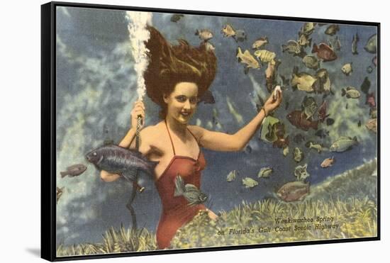 Diving Girl, Weekiwachee Spring, Florida-null-Framed Stretched Canvas