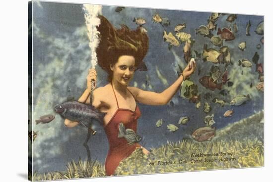 Diving Girl, Weekiwachee Spring, Florida-null-Stretched Canvas