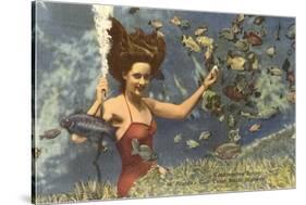 Diving Girl, Weekiwachee Spring, Florida-null-Stretched Canvas