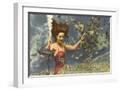 White Frame